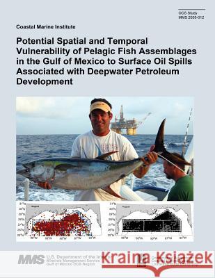 Potential Spatial and Temporal Vulnerability of Pelagic Fish Assemblages in the Gulf of Mexico to Surface Oil Spills Associated with Deepwater Petrole Richard F. Shaw Mark C. Benfield 9781514672310 Createspace - książka