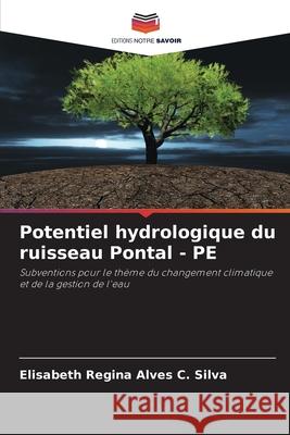 Potentiel hydrologique du ruisseau Pontal - PE Elisabeth Regin 9786207727759 Editions Notre Savoir - książka