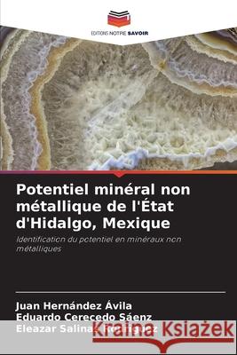 Potentiel minéral non métallique de l'État d'Hidalgo, Mexique Hernández Ávila, Juan, Cerecedo Sáenz, Eduardo, Salinas Rodríguez, Eleazar 9786209032318 Editions Notre Savoir - książka