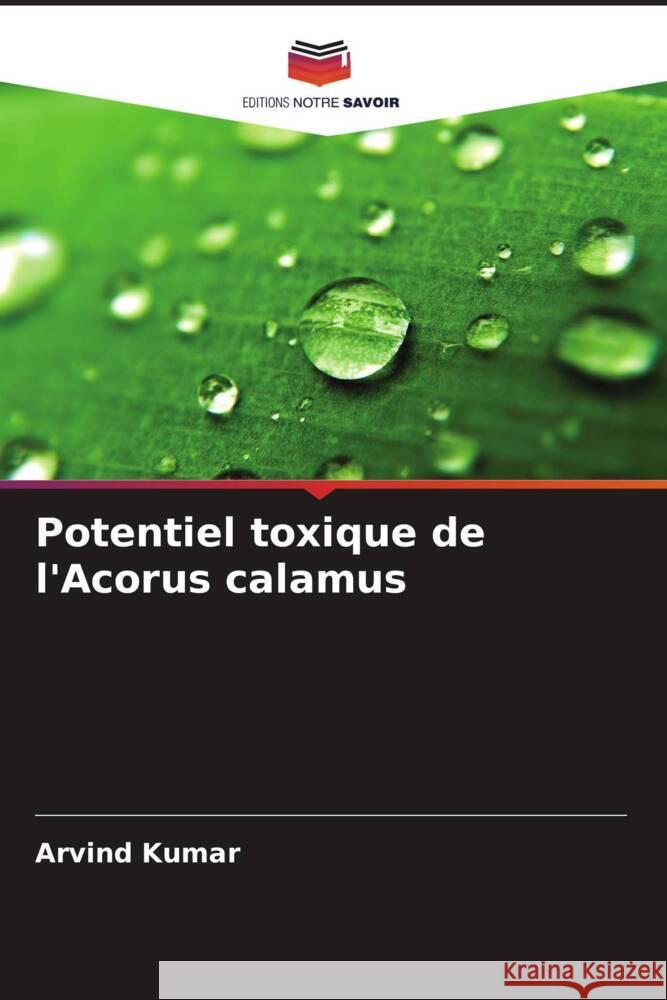 Potentiel toxique de l'Acorus calamus Arvind Kumar 9786206954484 Editions Notre Savoir - książka