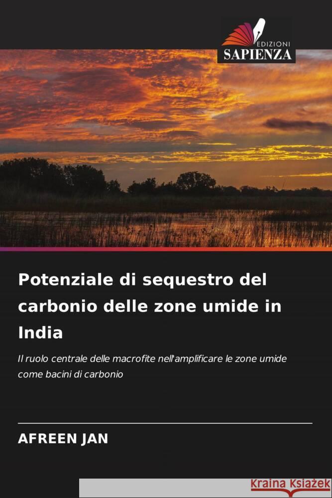 Potenziale di sequestro del carbonio delle zone umide in India JAN, AFREEN 9786205031919 Edizioni Sapienza - książka