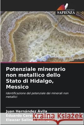 Potenziale minerario non metallico dello Stato di Hidalgo, Messico Hernández Ávila, Juan, Cerecedo Sáenz, Eduardo, Salinas Rodríguez, Eleazar 9786209034879 Edizioni Sapienza - książka