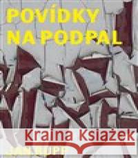 Povídky na podpal Jan Rupp 9788074435737 Větrné mlýny - książka