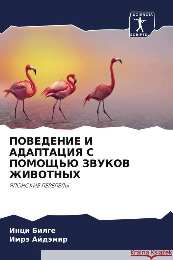 POVEDENIE I ADAPTACIYa S POMOShh'Ju ZVUKOV ZhIVOTNYH BILGE, Inci, Ajdämir, Imrä 9786204602431 Sciencia Scripts - książka