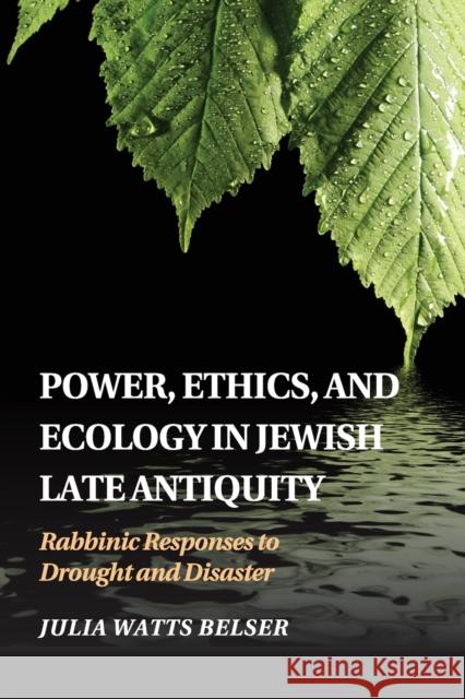 Power, Ethics, and Ecology in Jewish Late Antiquity: Rabbinic Responses to Drought and Disaster Julia Watts Belser 9781107533929 Cambridge University Press - książka