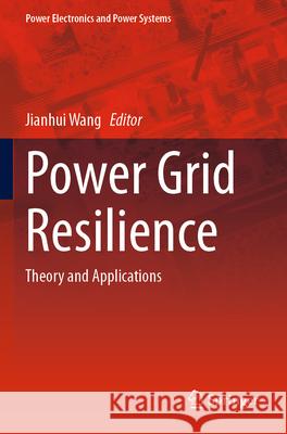 Power Grid Resilience  9783031739804 Springer - książka