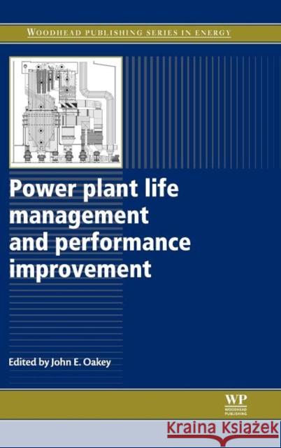 Power Plant Life Management and Performance Improvement  9781845697266 Woodhead Publishing - książka