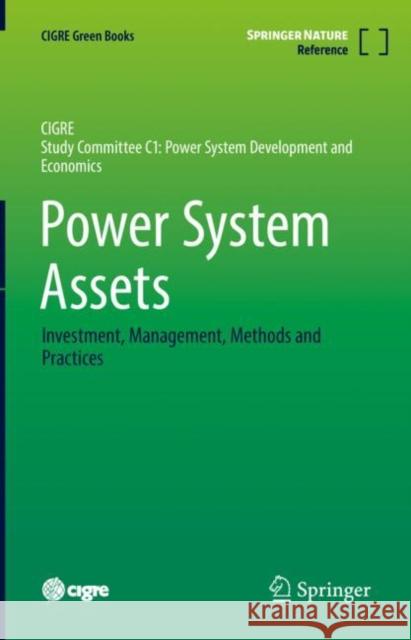 Power System Assets: Investment, Management, Methods and Practices Graeme Ancell Gary Ford Earl S. Hill 9783030855130 Springer - książka