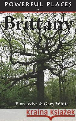 Powerful Places in Brittany Elyn Aviva Gary White 9780982623329 Pilgrims' Process - książka