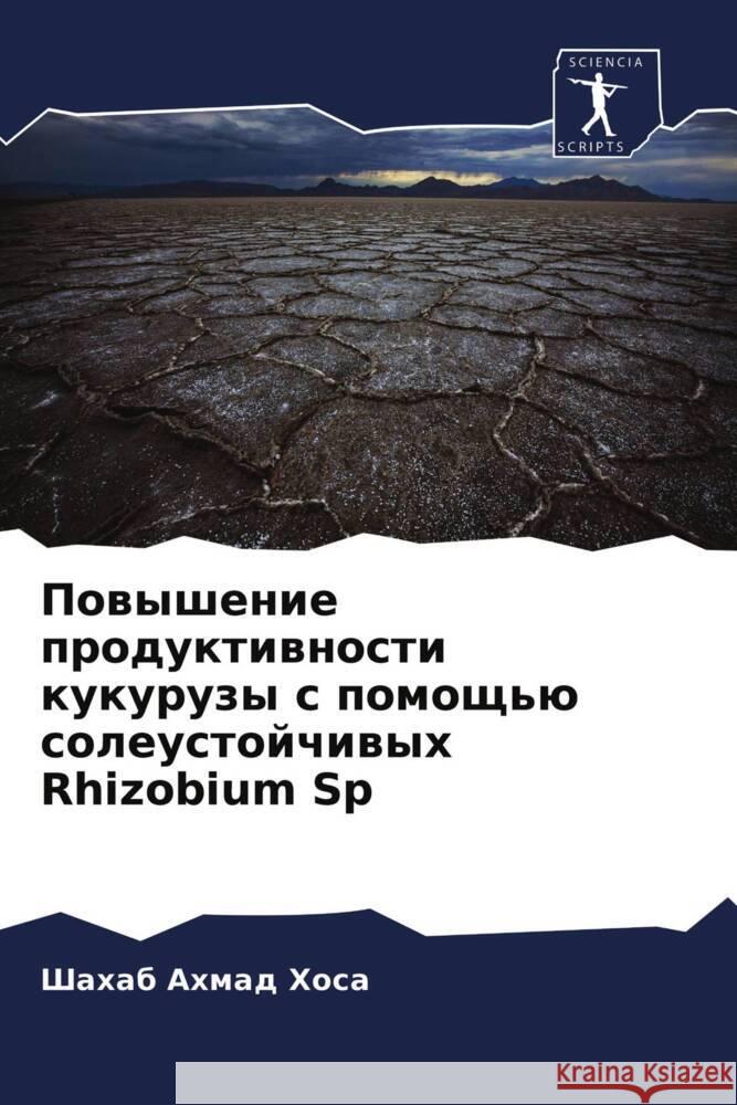 Powyshenie produktiwnosti kukuruzy s pomosch'ü soleustojchiwyh Rhizobium Sp Ahmad Hosa, Shahab 9786203989335 Sciencia Scripts - książka