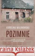 Pozimnie Karolina Malinowska 9788382196948 Novae Res - książka