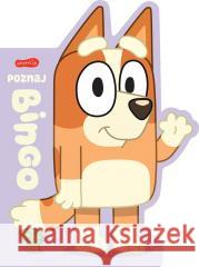 Poznaj Bingo. Książeczki kartonowe praca zbiorowa 9788327686343 Harperkids - książka