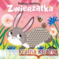 Poznaj i dotknij Zwierzątka Książeczka sensoryczna WASILEWICZ GRAŻYNA 9788382137248 AKSJOMAT - książka