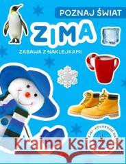 Poznaj świat. Zima. Zabawa z naklejkami praca zbiorowa 9788382742312 Dragon - książka