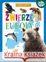 Poznaj z nami... Zwierzęta Europy Maria Zagnińska 9788383532035 Jedność - książka