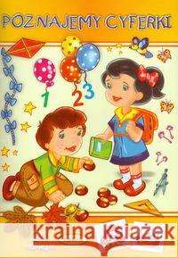 Poznajemy cyferki  9788363098919 Pasja - książka