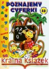 Poznajemy cyferki - 32 naklejki Pasja  9788364047015 Pasja