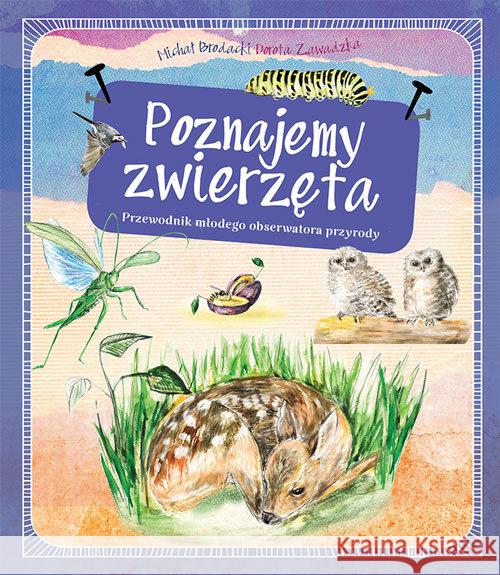Poznajemy zwierzęta Brodacki Michał Zawadzka Dorota Gadomska Alicja 9788377632376 Multico - książka