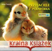 Poznajemy zwierzęta. Przyjaciele z podwórka LIWONA Todorski Stefan 9788375703511 Liwona - książka