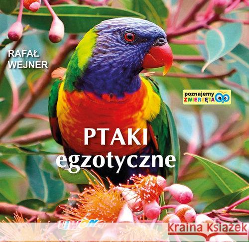 Poznajemy zwierzęta. Ptaki egzotyczne Wejner Rafał 9788375704426 Liwona - książka