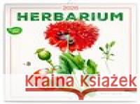 Poznámkový kalendář Herbář 2026  8595689354732 Presco Group - książka
