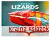 Poznámkový kalendář Ještěři 2026  8595689355005 Presco Group - książka