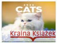 Poznámkový kalendář Kočky 2026  8595689351663 Presco Group - książka