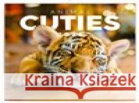 Poznámkový kalendář Mláďata 2026  8595689351748 Presco Group - książka