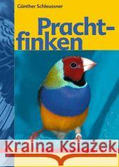 Prachtfinken Schleussner, Günther   9783800135677 Ulmer (Eugen) - książka