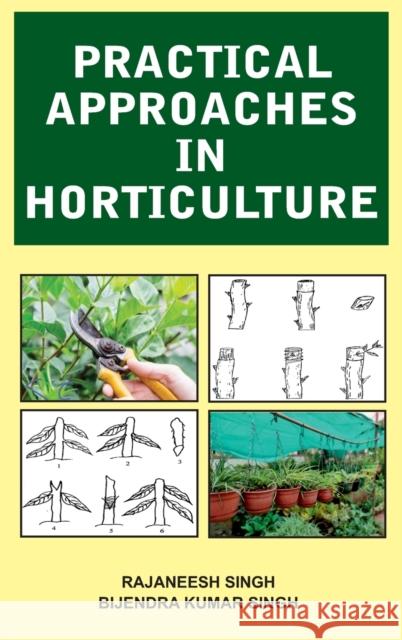 Practical Approaches in Horticulture Rajaneesh Singh Kumar Bijendra Singh 9789389547320 New India Publishing Agency- Nipa - książka