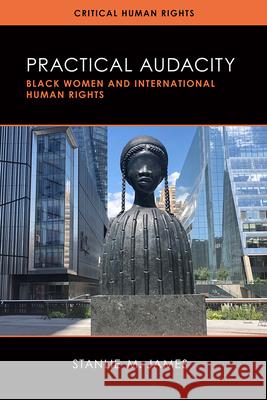 Practical Audacity: Black Women and International Human Rights Stanlie M. James 9780299333706 University of Wisconsin Press - książka