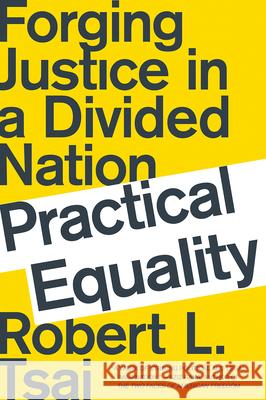 Practical Equality: Forging Justice in a Divided Nation Robert Tsai 9780393358551 W. W. Norton & Company - książka
