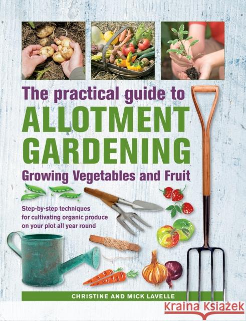 Practical Guide to Allotment Gardening: Growing Vegetables and Fruit: Step-by-step techniques for cultivating organic produce on your plot all year round Mick Lavelle 9780754834724 Anness Publishing - książka