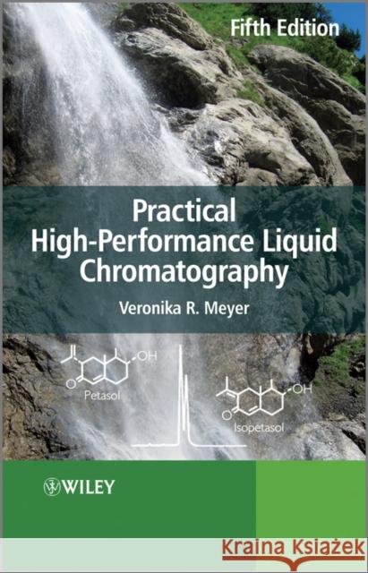 Practical High-performance Liq Meyer, Veronika R. 9780470682180 John Wiley & Sons - książka