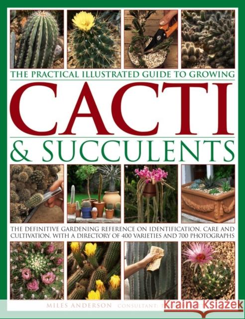 Practical Illustrated Guide to Growing Cacti & Succulents Miles Anderson 9781843093558 Anness Publishing - książka