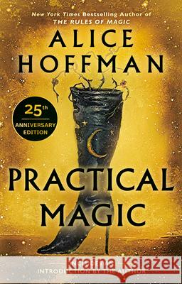 Practical Magic Alice Hoffman 9780425190371 Berkley Publishing Group - książka