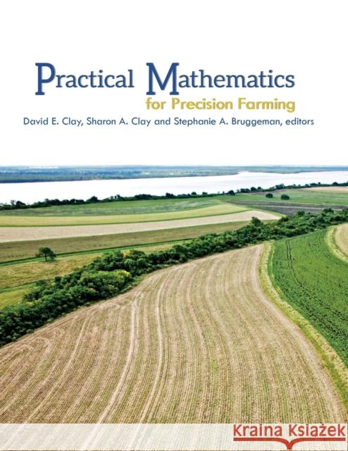 Practical Mathematics for Prec Clay, David E. 9780891183617 Wiley - książka