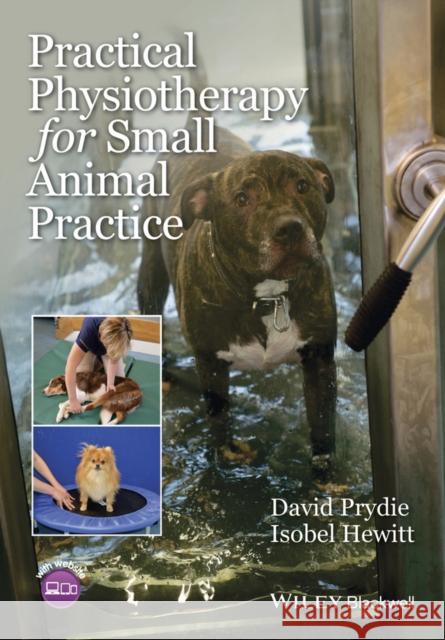 Practical Physiotherapy for Small Animal Practice Prydie, David; Hewitt, Isobel 9781118661543 John Wiley and Sons Ltd - książka