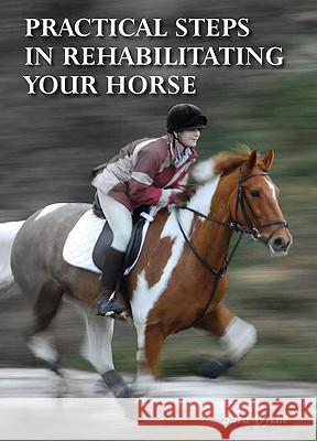 Practical Steps in Rehabilitating your Horse Sarah Wyche 9781847971692  - książka