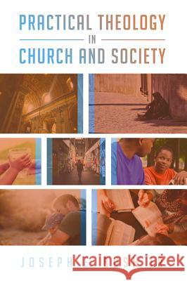 Practical Theology in Church and Society Joseph E. Jr. Bush 9781498282741 Cascade Books - książka