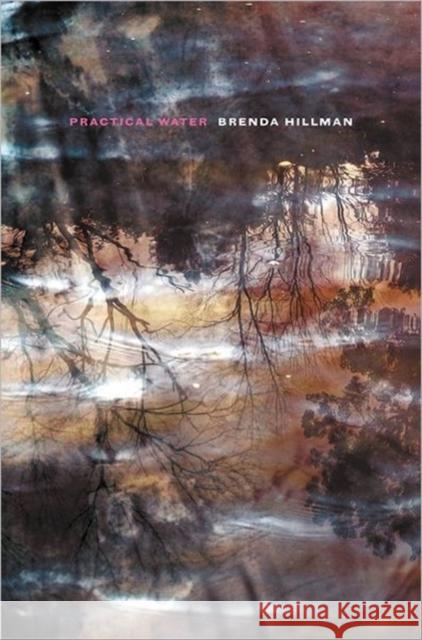 Practical Water Brenda Hillman 9780819571663 Wesleyan University Press - książka