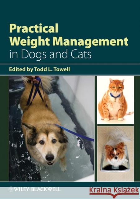Practical Weight Management in Dogs and Cats Todd L Towell 9780813809564  - książka