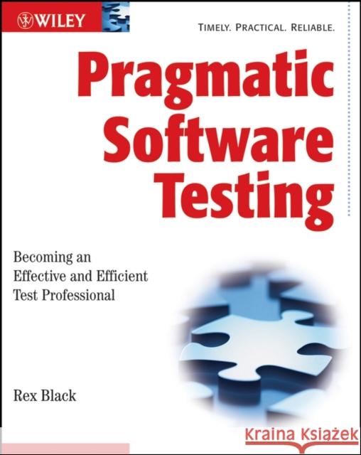 Pragmatic Software Testing: Becoming an Effective and Efficient Test Professional Black, Rex 9780470127902  - książka