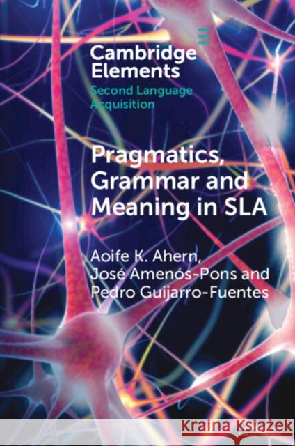 Pragmatics, Grammar and Meaning in SLA Pedro (Universidad de las Islas Baleares) Guijarro-Fuentes 9781009011822 Cambridge University Press - książka