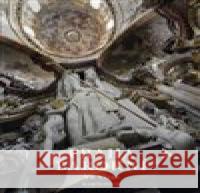 Praha barokní Vít Vlnas 9788024636108 Karolinum - książka