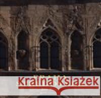 Praha středověká Jan Royt 9788024641836 Karolinum - książka