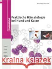 Praktische Hämatologie bei Hund und Katze : Probenmaterial. Diagnostik / Therapie. Anämie. Leukämie. Malignes Lymphom. Gerinnungsstörungen Mischke, Reinhard   9783877067161 Schlütersche - książka