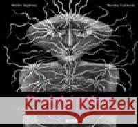 Pražský golem, rabi Löw a moje židovská duše Renáta Fučíková 9788076960602 Práh - książka