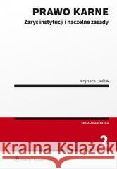 Prawo karne. Zarys instytucji w.2 Wojciech Cieślak 9788383907857 Wolters Kluwer - książka