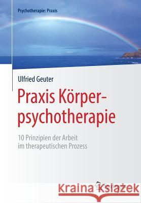 Praxis Körperpsychotherapie: 10 Prinzipien Der Arbeit Im Therapeutischen Prozess Geuter, Ulfried 9783662565957 Springer, Berlin - książka